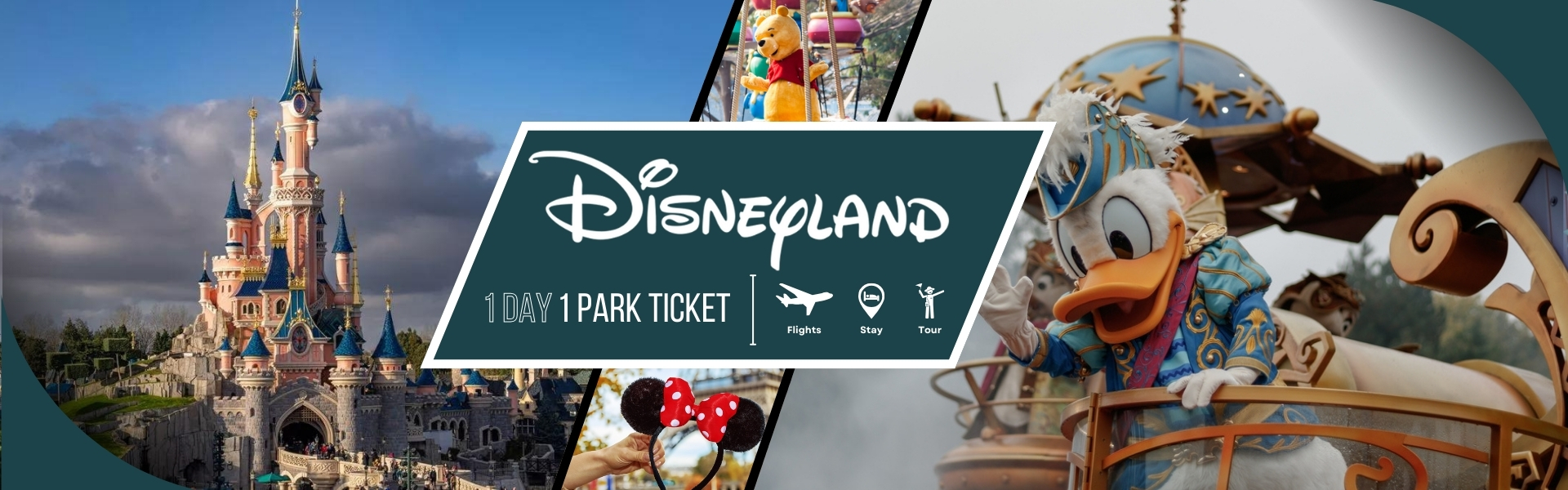 Disneyland with Park Ticket