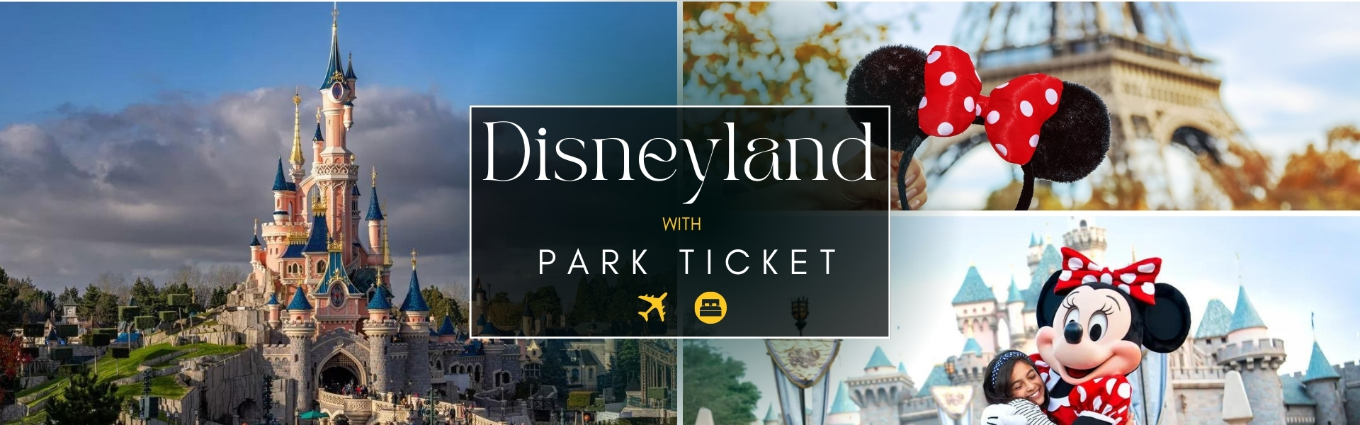 Disneyland with Park Ticket