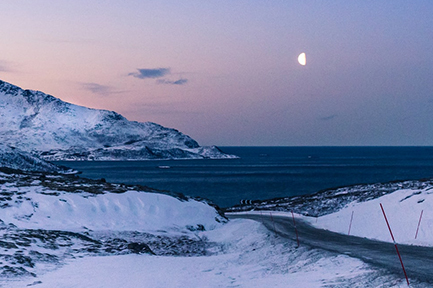 Arctic