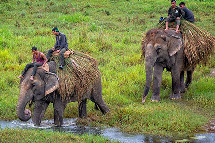 Chitwan