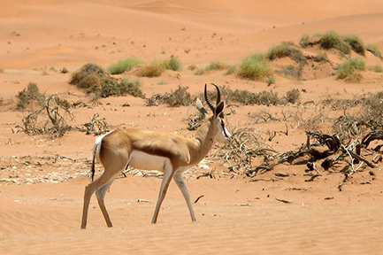 Namibia